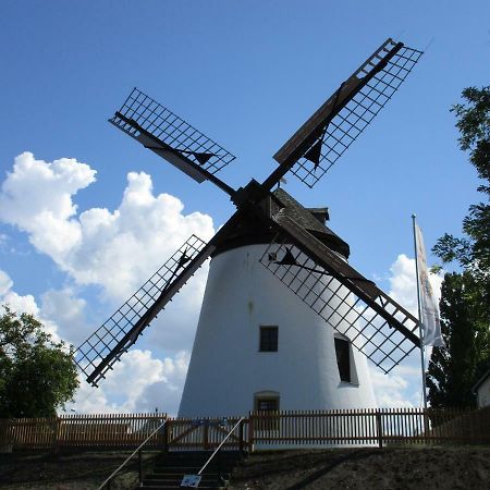 Gastehaus Moser Bed & Breakfast Подерсдорф ам Зее Екстериор снимка